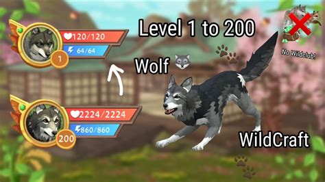 Wildcraft Level 1 To 200 Wolf 🐺 No Wildclub Youtube