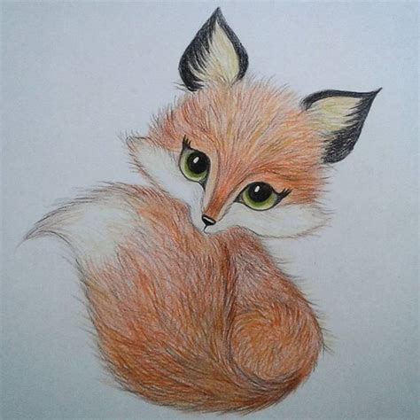 Fox Drawing Images Animal Drawings Drawings Cute Drawings