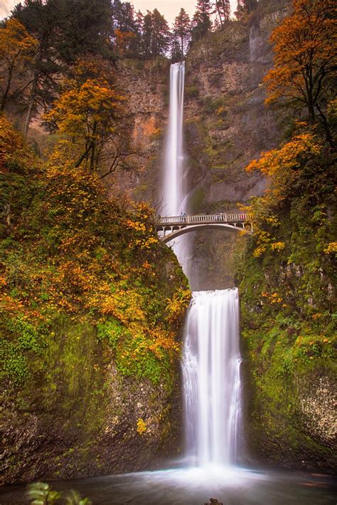Fresh Multnomah Falls In Portland Oregon Landscape Photos Holiday