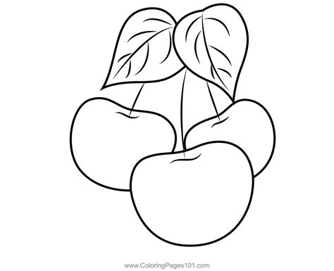 Fresh Plums Coloring Page For Kids Free Plum Printable Coloring Pages