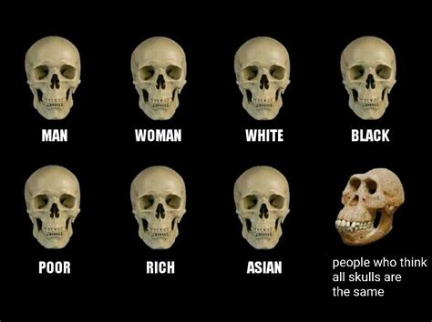 Racial Characteristics Of Skulls