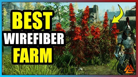 New World The Best Place To Find And Harvest Wirefiber Fast Youtube