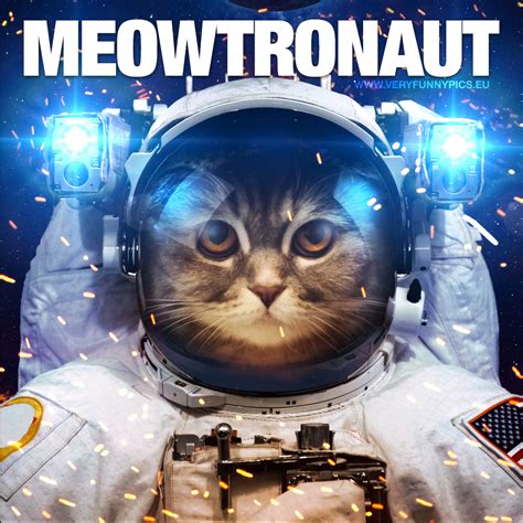 There Is Really Only Word That Can Describe A Cat In A Spacesuit Very