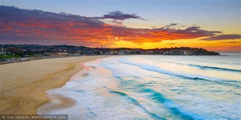 Amazing Sunrise Above Bondi Beach Sydney Nsw Australia Beach