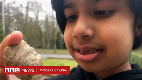 Шестилетний британец нашел в своем саду окаменелость возрастом около
