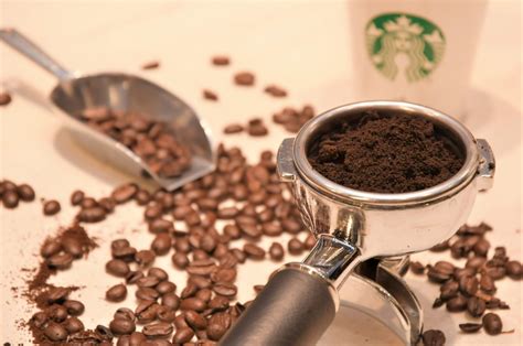 Starbucks Unveils Bold Vision For China Coffee Innovation Park
