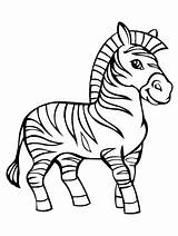Zebra coloring pages printable are very popular with kids of all ages. Baby Zebra Coloring Pages To Print | Zebra coloring pages ...