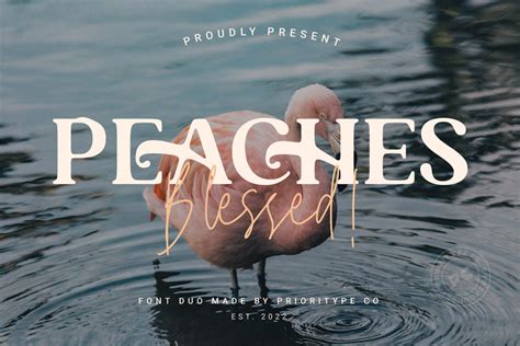 Peaches Blessed Font Prioritype Fontspace