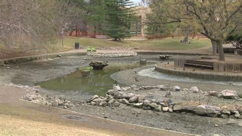 Unms Beloved Duck Pond Undergoing Major Cleaning This Spring Break