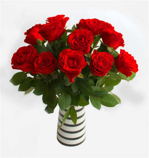 Bouquet Of 9 Roses Il Qronfla