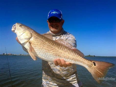 Best Times And Seasons To Fish In Tarpon Springs Fl A Guide