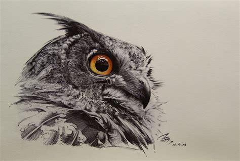37 Realistic Great Horned Owl Realistic Owl Coloring Pages