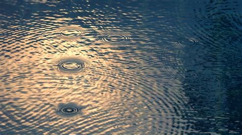 Premium Photo Rain Drop On The Surface Of Swiming Pool Water And Have A Ripple Wave Effect