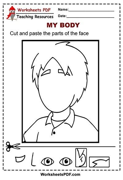 Parts Of The Face Worksheets Worksheets Master