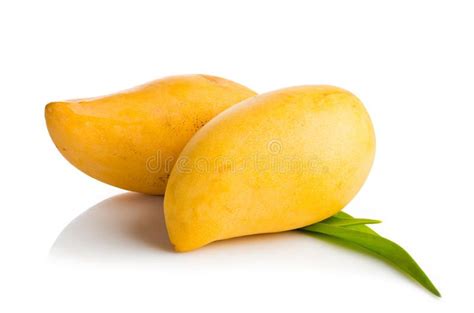 Mango Fruit Isolated On White Background Sponsored Fruit Mango