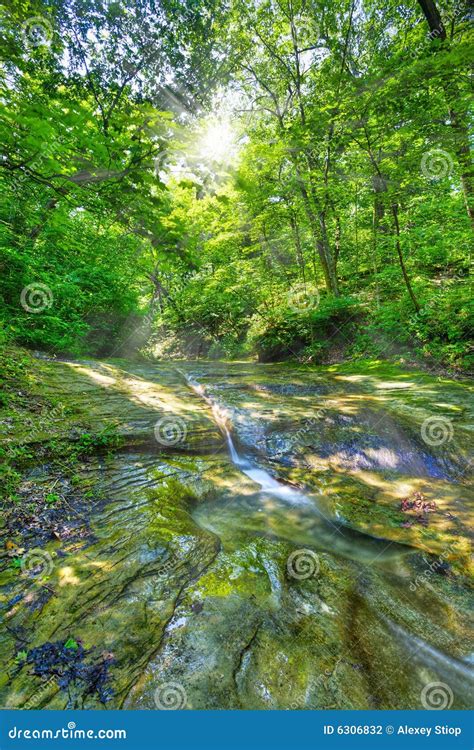 Sunshine In The Forest Stock Photo Image Of Rock Sunlight 6306832