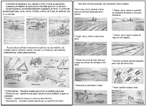 Atividades Sobre Agricultura Pecuaria E Extrativismo Para O 3o Ano