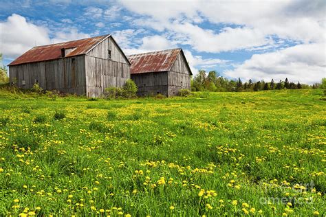 Double Barn Spring Landscape Photograph By Alan L Graham Fine Art America