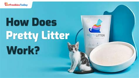 How Does Pretty Litter Work Get Freebies Today