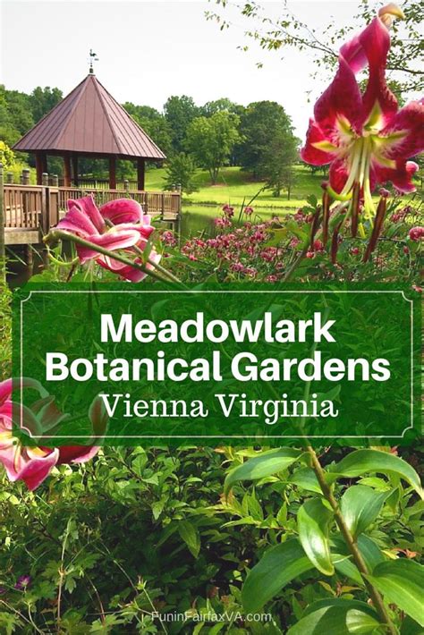 Visit Meadowlark Botanical Gardens For Year Round Beauty In Northern Va