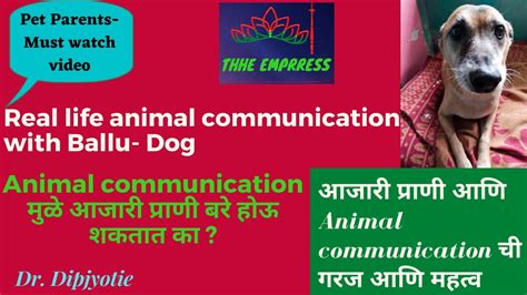Real Life Animal Communication With Ballu 🐕telepathic संवाद Health