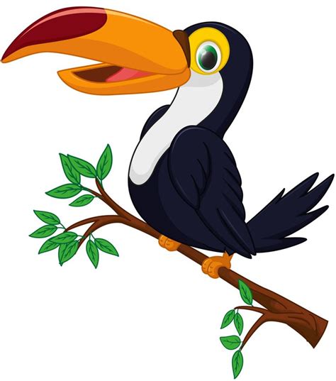 Piciformes Clipart 20 Free Cliparts Download Images On Clipground 2021