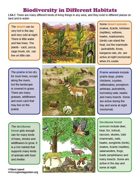 What Is The Difference Between A Biome And A Habitat