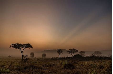 Sunrise On The Kilala Plain In Rwandas Akagera National Park