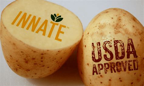 Us Approves Three Gmo Potato Varieties That Can Be Grown And Sold In