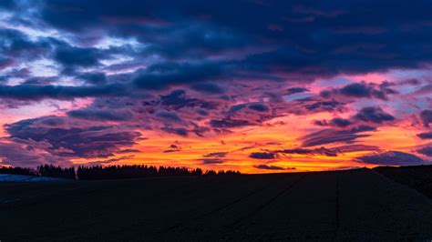 Wallpaper Clouds Sunset Trees Twilight Porous Dark Horizon Hd