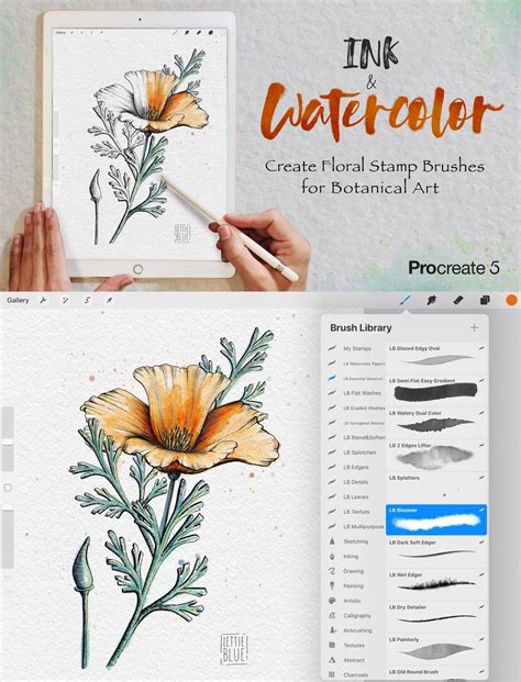 Ink and Watercolor Illustrations in Procreate 5 | Procreate ipad art, Procreate tutorial, Procreate