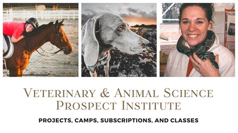 Veterinary And Animal Science Prospect Institute