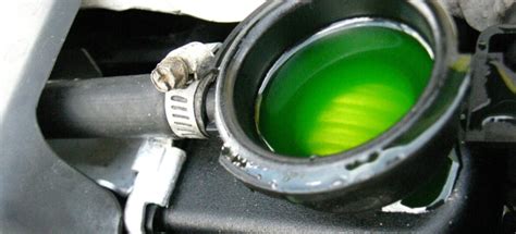 5 Causes Of Antifreeze Leaking