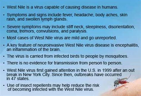 Symptoms of west nile virus usually occur anywhere from three days to two weeks after getting bitten by an infected mosquito. NIHUKA JR newz hub: DENGUE FEVER SYMPTOMS AND SIGNS