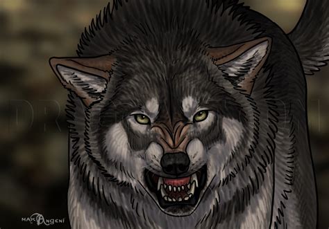 How To Draw An Angry Wolf Step By Step Drawing Guide By Makangeni