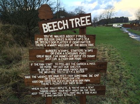Beech Tree Poem The Beech Tree