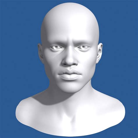 African Male Head 3d Model
