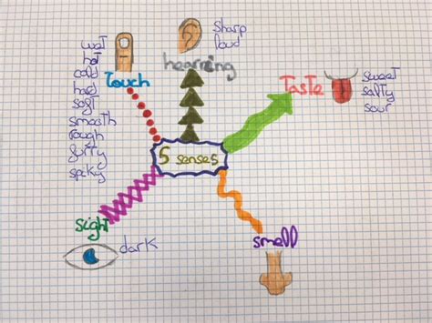Mind Maps About The Five Senses Take The Pentake The Pen