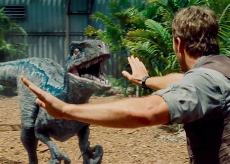 In Jurassic World What Happened To Blue At The End Quora