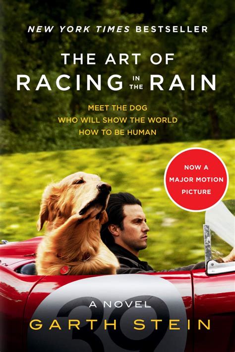 The Art of Racing in the Rain by Garth Stein | The Best Books Being