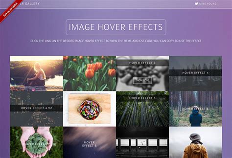 8 Css Libraries For Adding Image Hover Effects Web