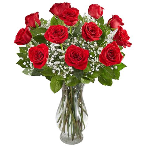 12 Roses Arrangement From Karins Florist Same Day Delivery