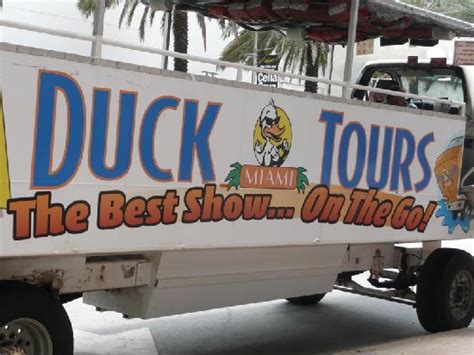 Busy Day Picture Of Duck Tours South Beach Miami Beach Tripadvisor