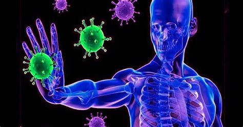 Esquema Del Sistema Inmunológico ¡fotos And Guía 2021