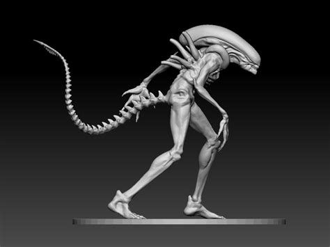 Stl File Xenomorph Alien 👽・design To Download And 3d Print・cults