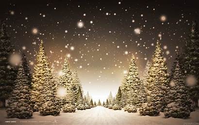 Winter Wallpapers Forest Desktop Christmas Backgrounds Background
