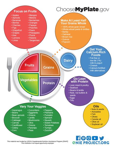 Myplate Food Groups By The Onie Project Issuu