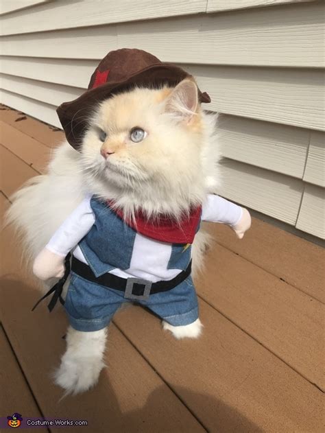 Cowboy Cat Costume Coolest Halloween Costumes Photo 24