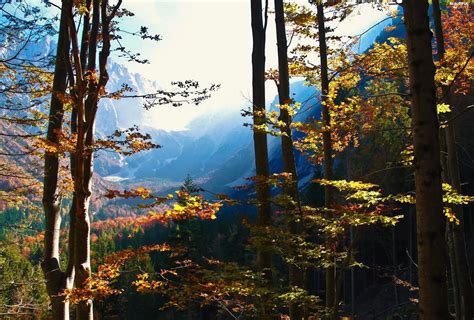 Autumn Mountains Woods Beautiful Views Wallpapers 2720x1840