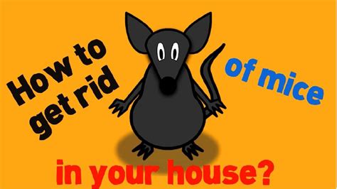 Sadly, they are also known to be the worst animals to spread diseases to human beings. How to Get Rid of Mice in Your House Fast and Naturally ...